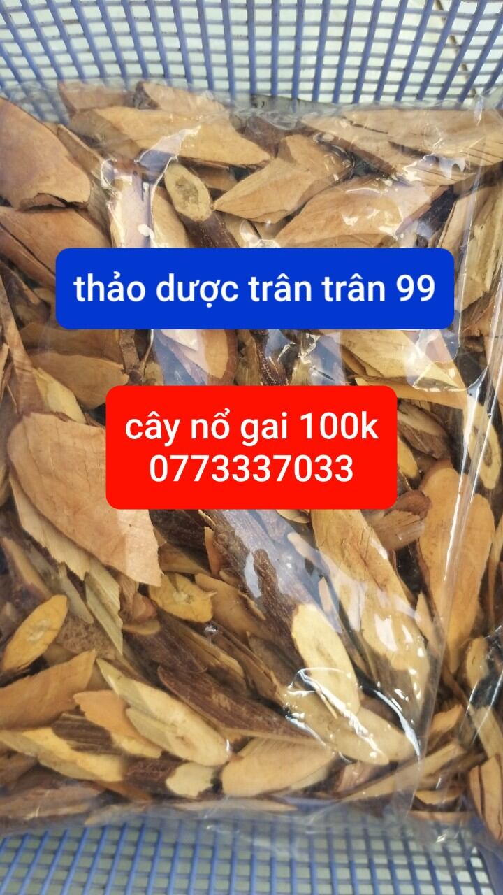 Cây nổ gai phơi khô 1kg