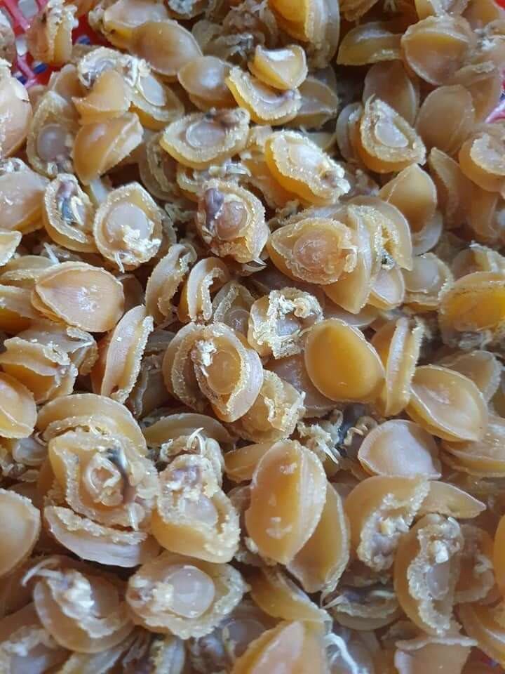 Bào Ngư Khô Mini 100gr