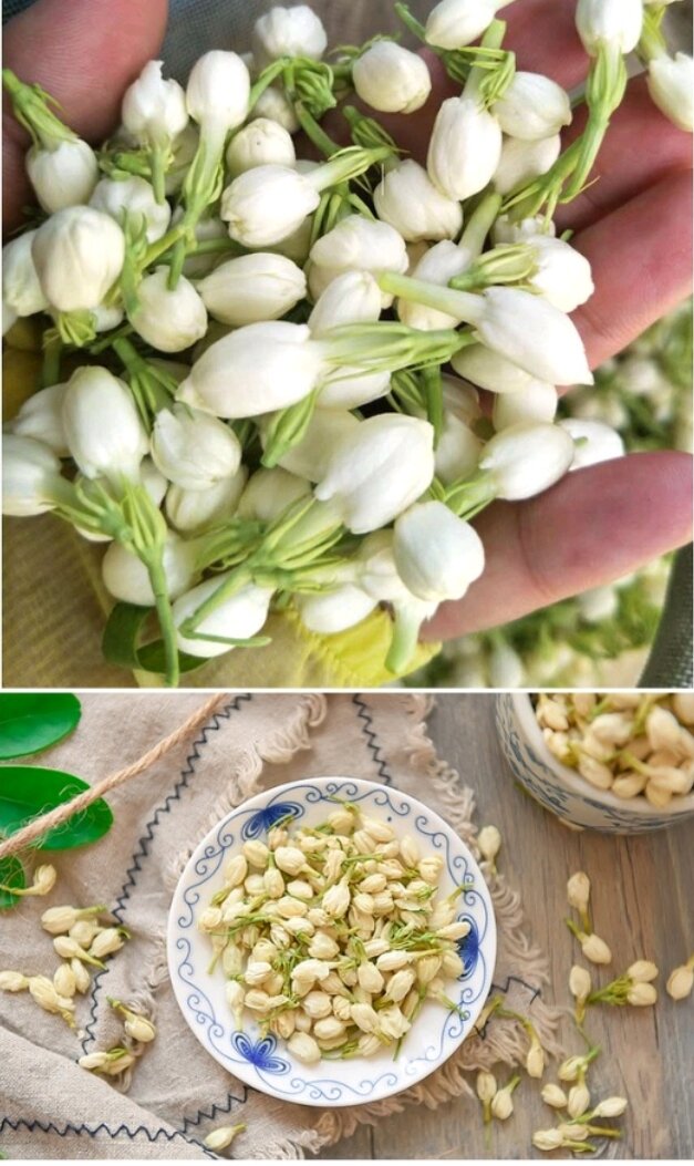 100 Grams of Premium Freeze-Dried Jasmine Buds