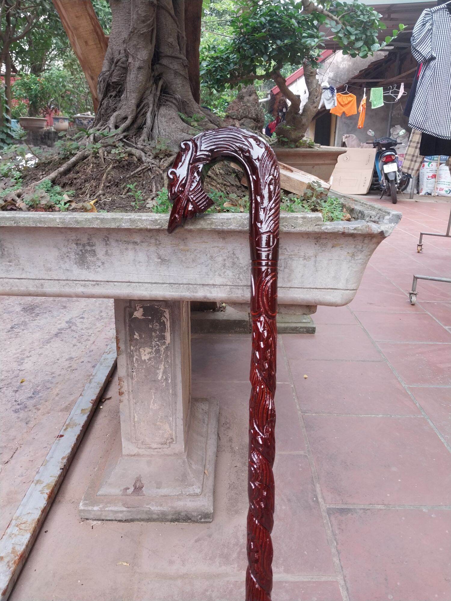 Gậy batoong cho người già