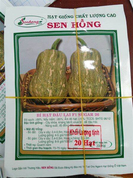Hạt giống bí hạt đậu Sugar 26 Sen Hồng 20 hạt