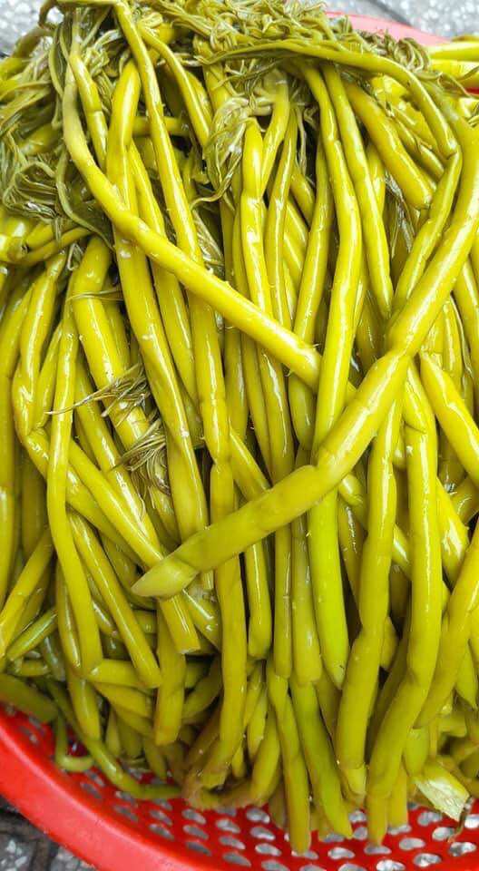 Rau móp làm chua túi 2kg
