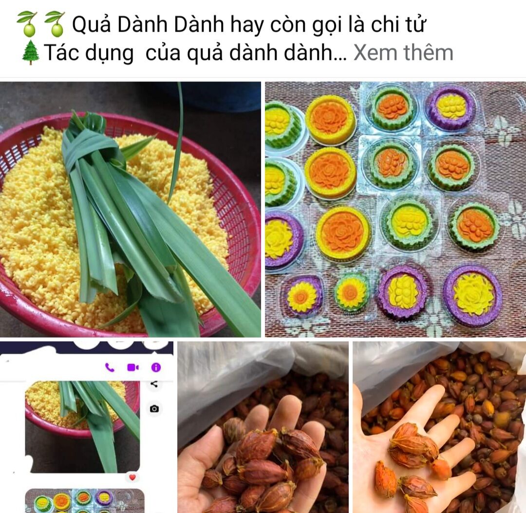 quả dành dành khô tạo màu 100g