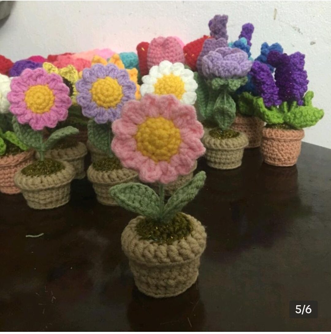 Chậu hoa cúc mini bằng len handmade