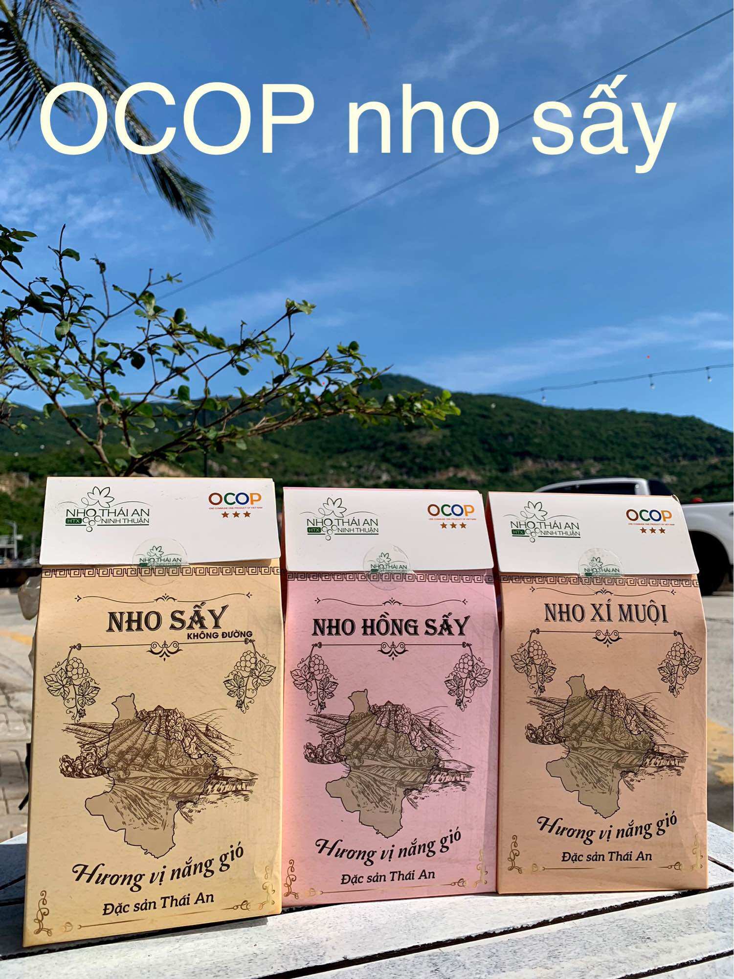 Ocop nho sấy thái an phan rang ninh thuận