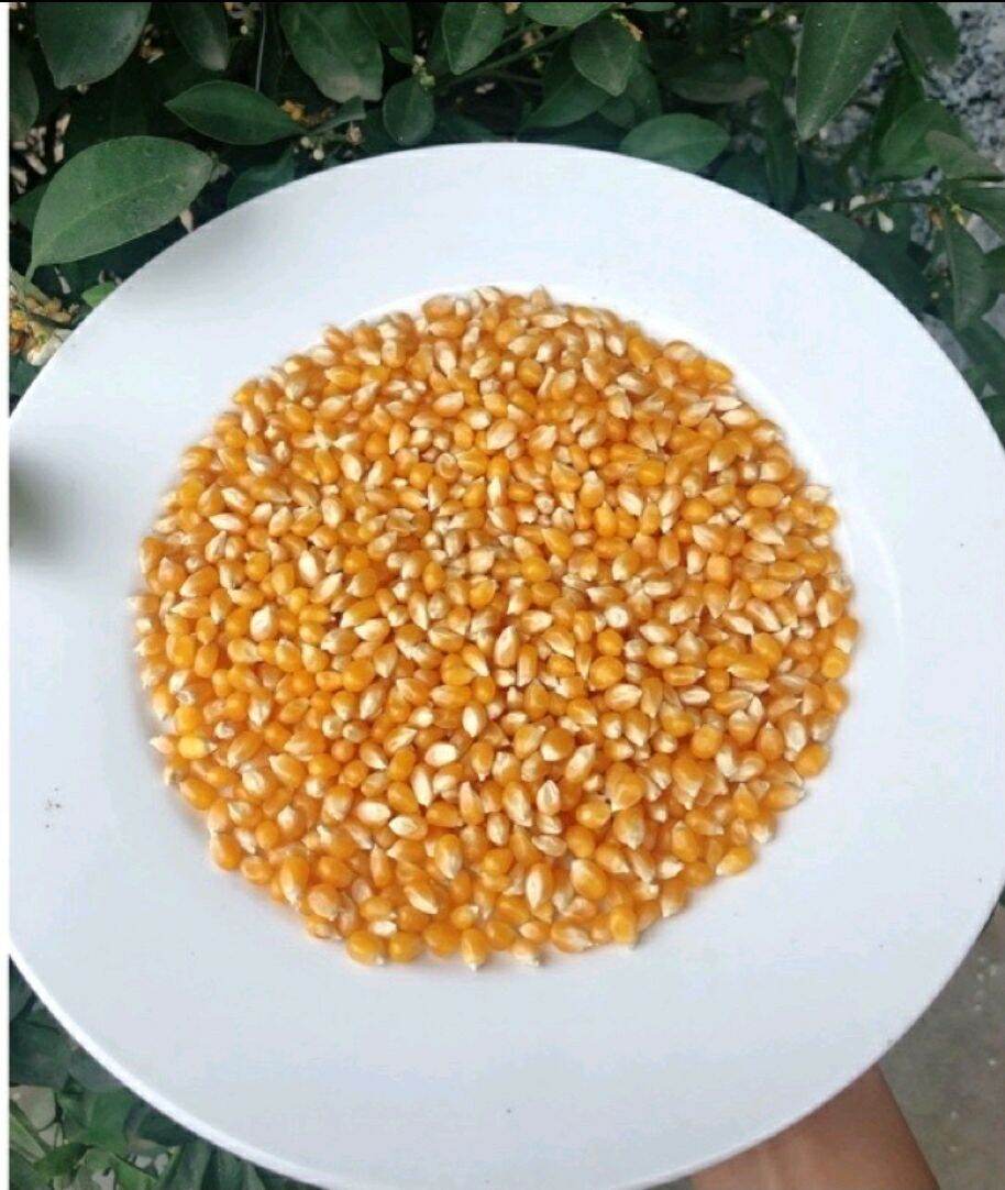 Bắp rang bơ 1 kg