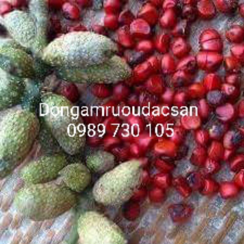Hạt dổi nếp Hòa Bình cổ thụ 100G