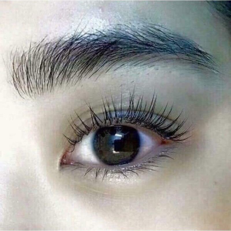 LĂN MỌC MI GENIVE