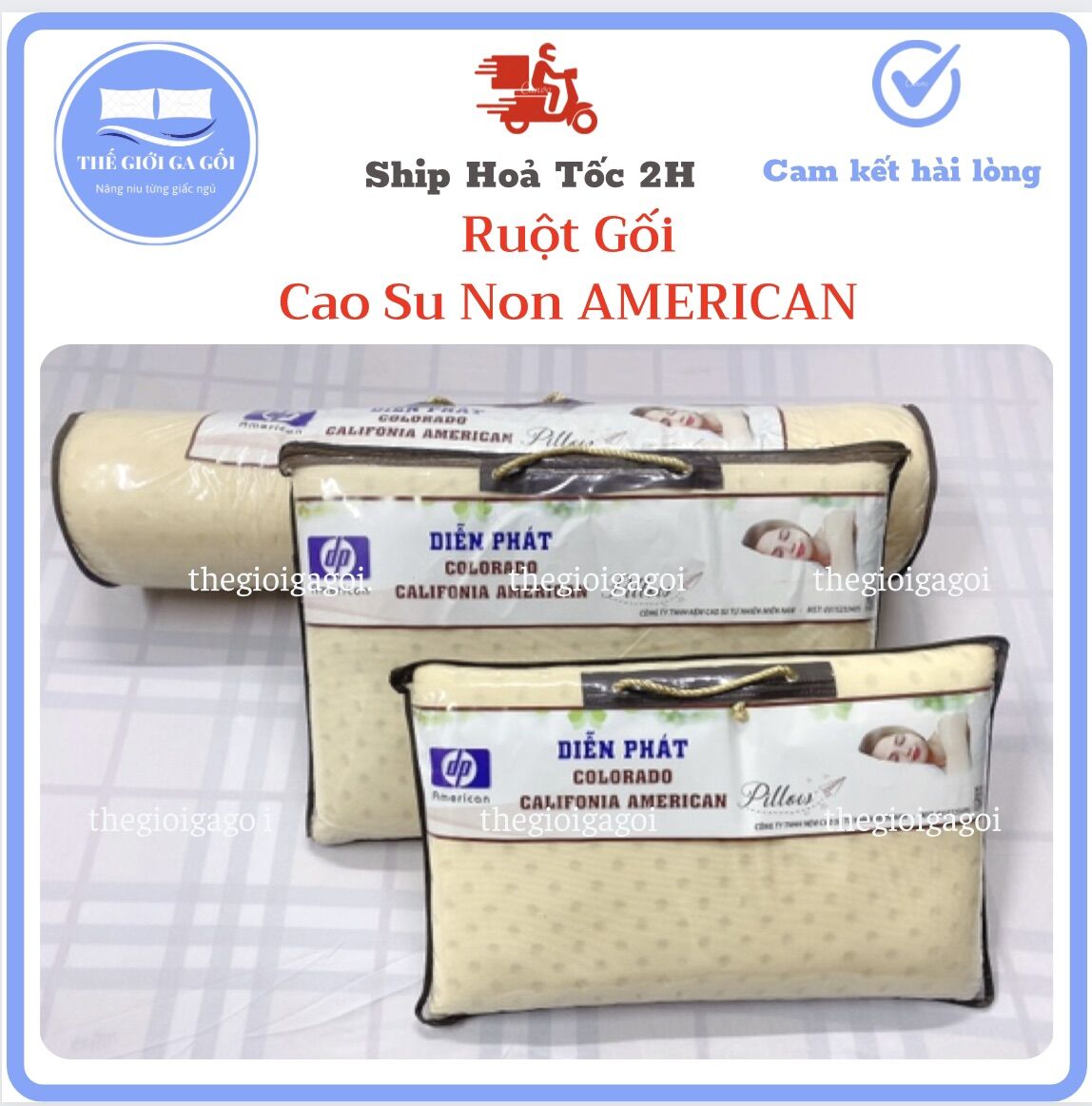 Gối cao su non dp american cao cấp, có lỗ thông hơi