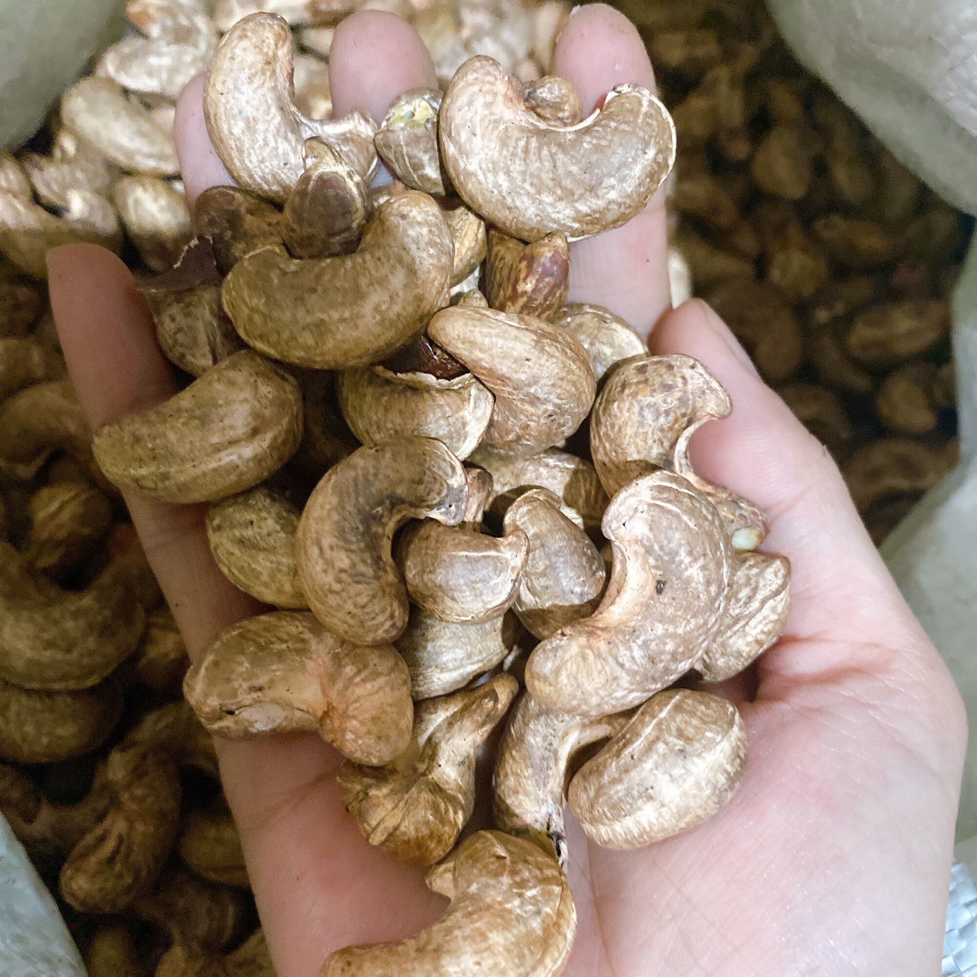 500G Hạt điều nguyên lụa rang muối Bình Phước Size A