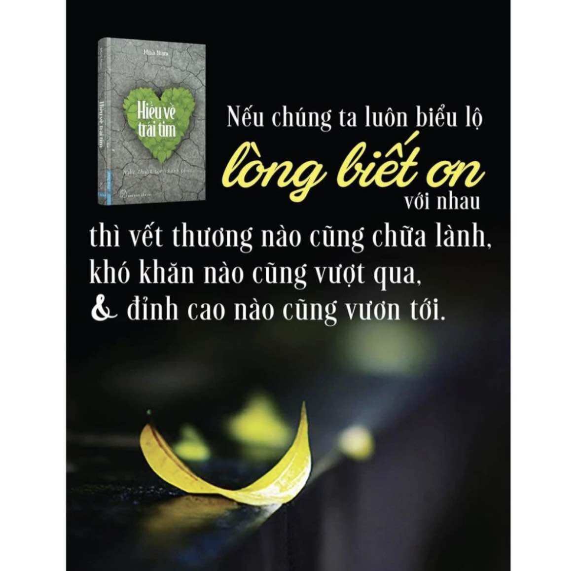 Hiểu Về Trái Tim (Tái bản 2023)