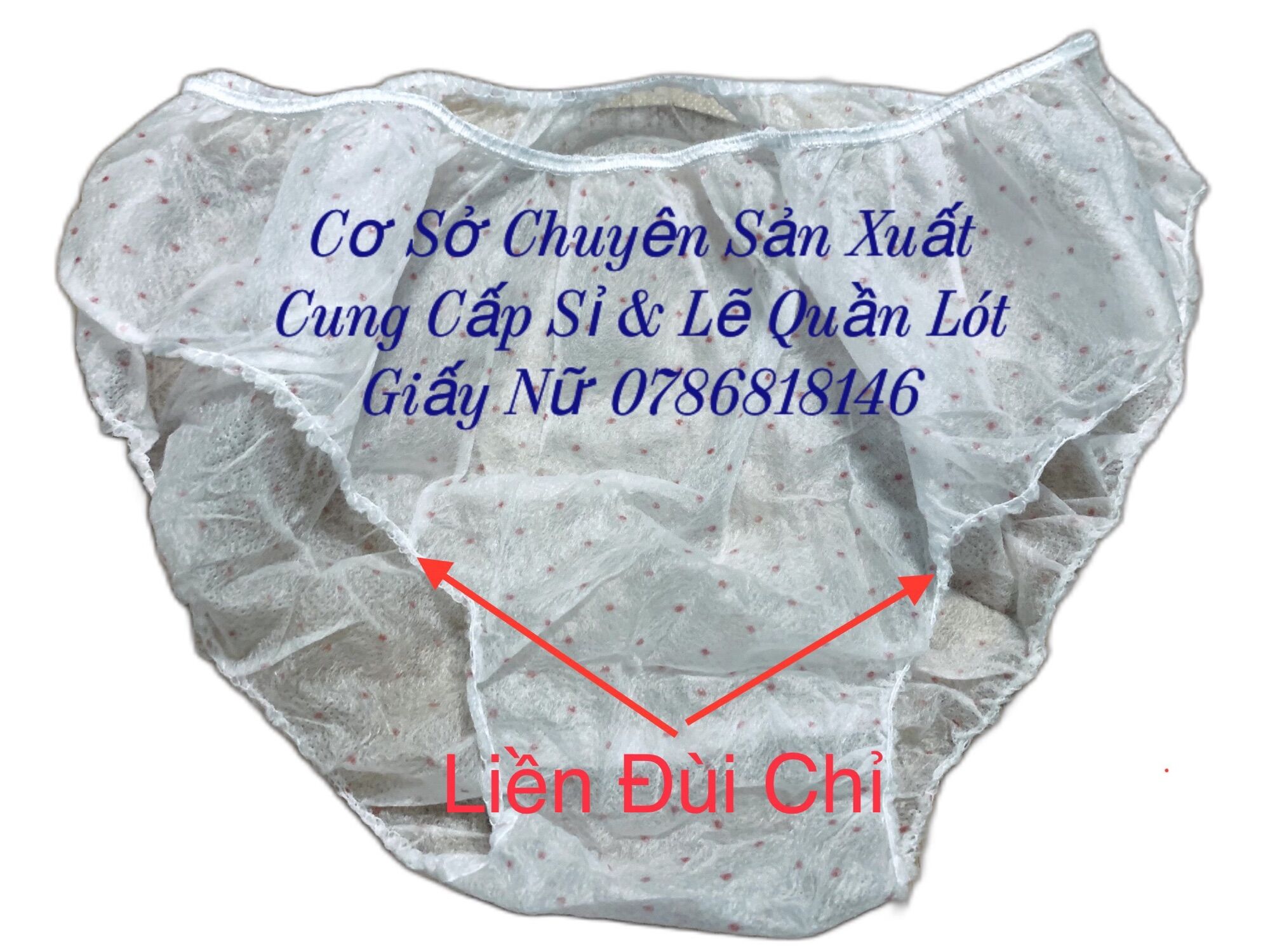 Quần Lót Giấy sử dụng 1 lần 1 gói 5 chiếc