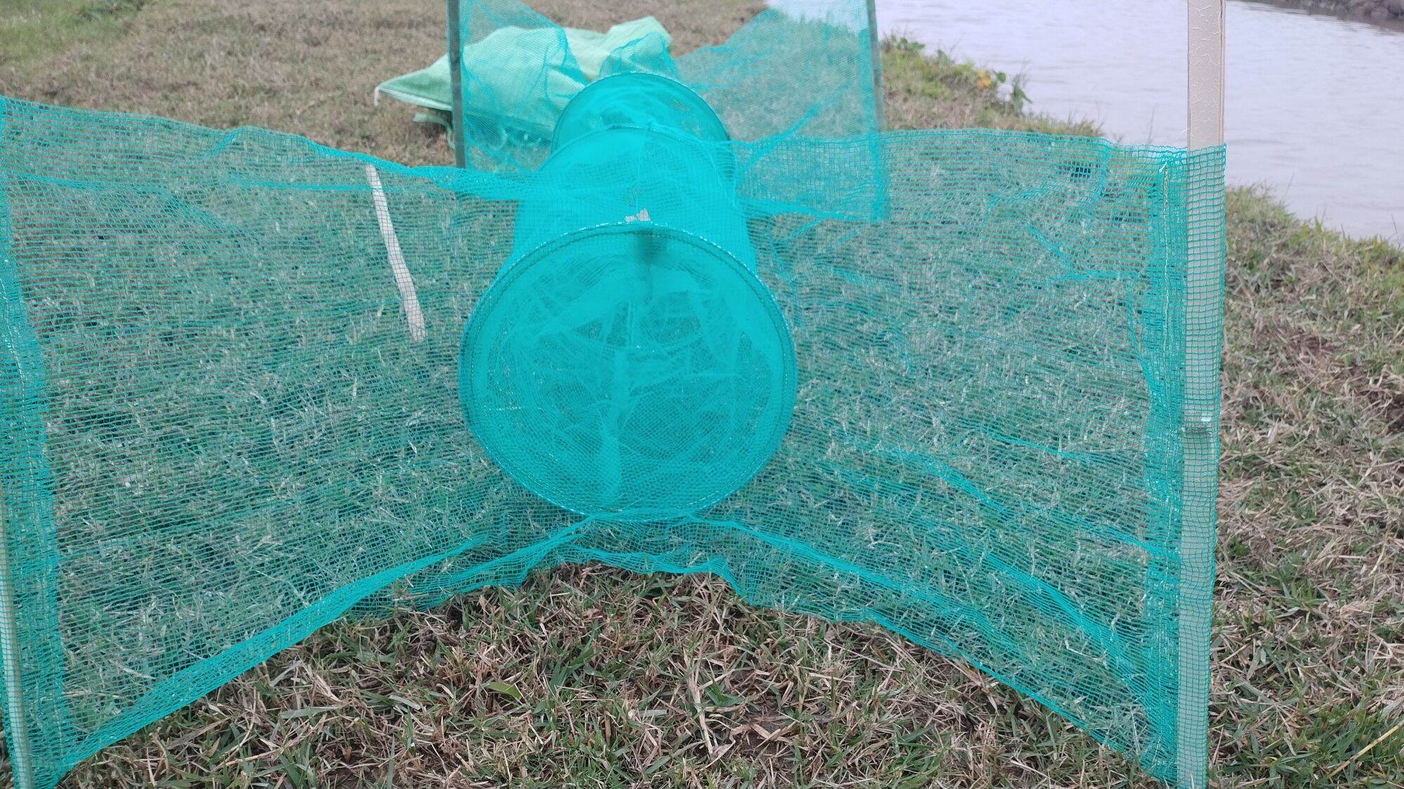 lợp bẫy ếch đồng đa năng
