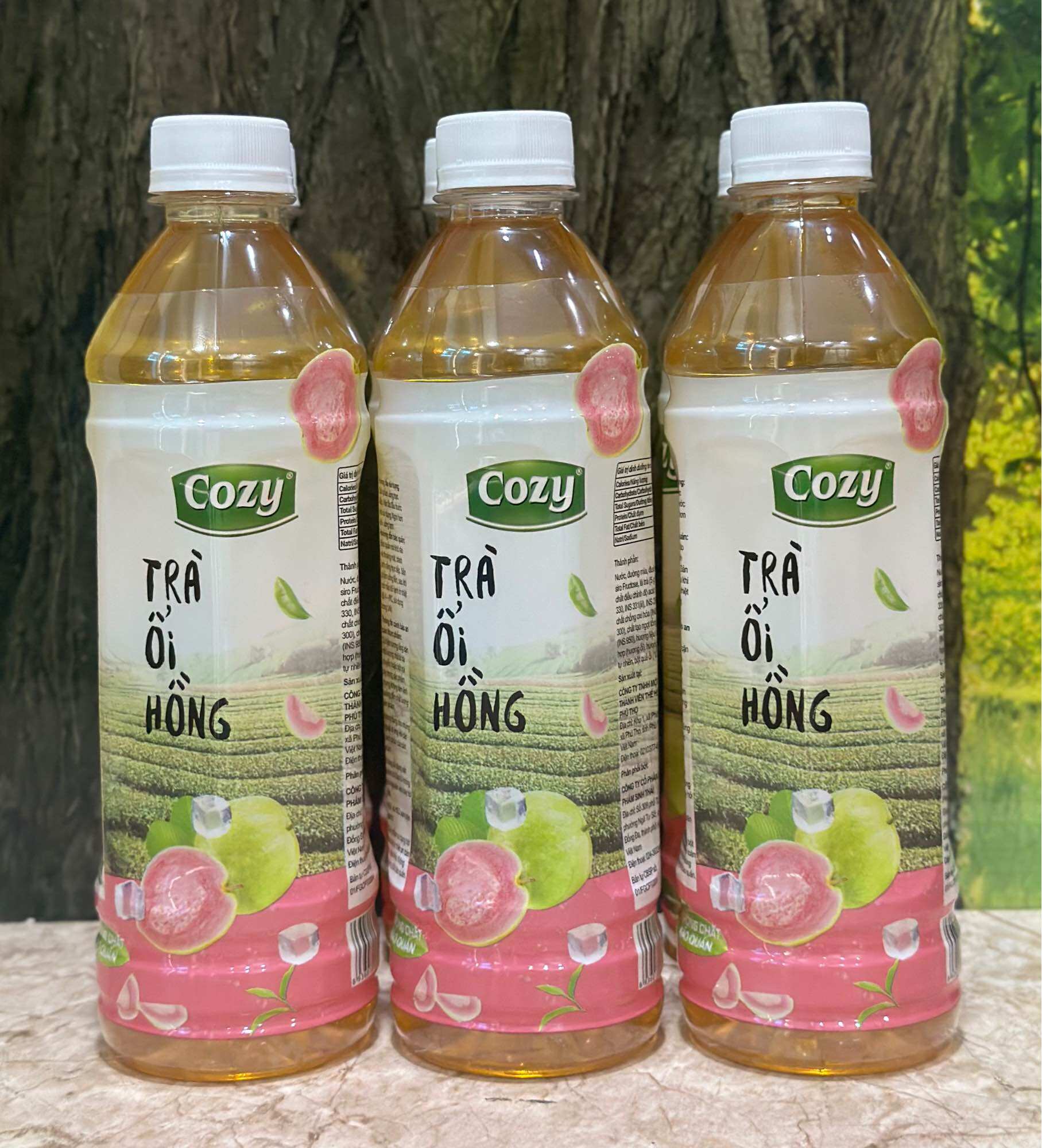 1 Thùng COZY Trà Ổi Hồng /24 Chai x 445ml