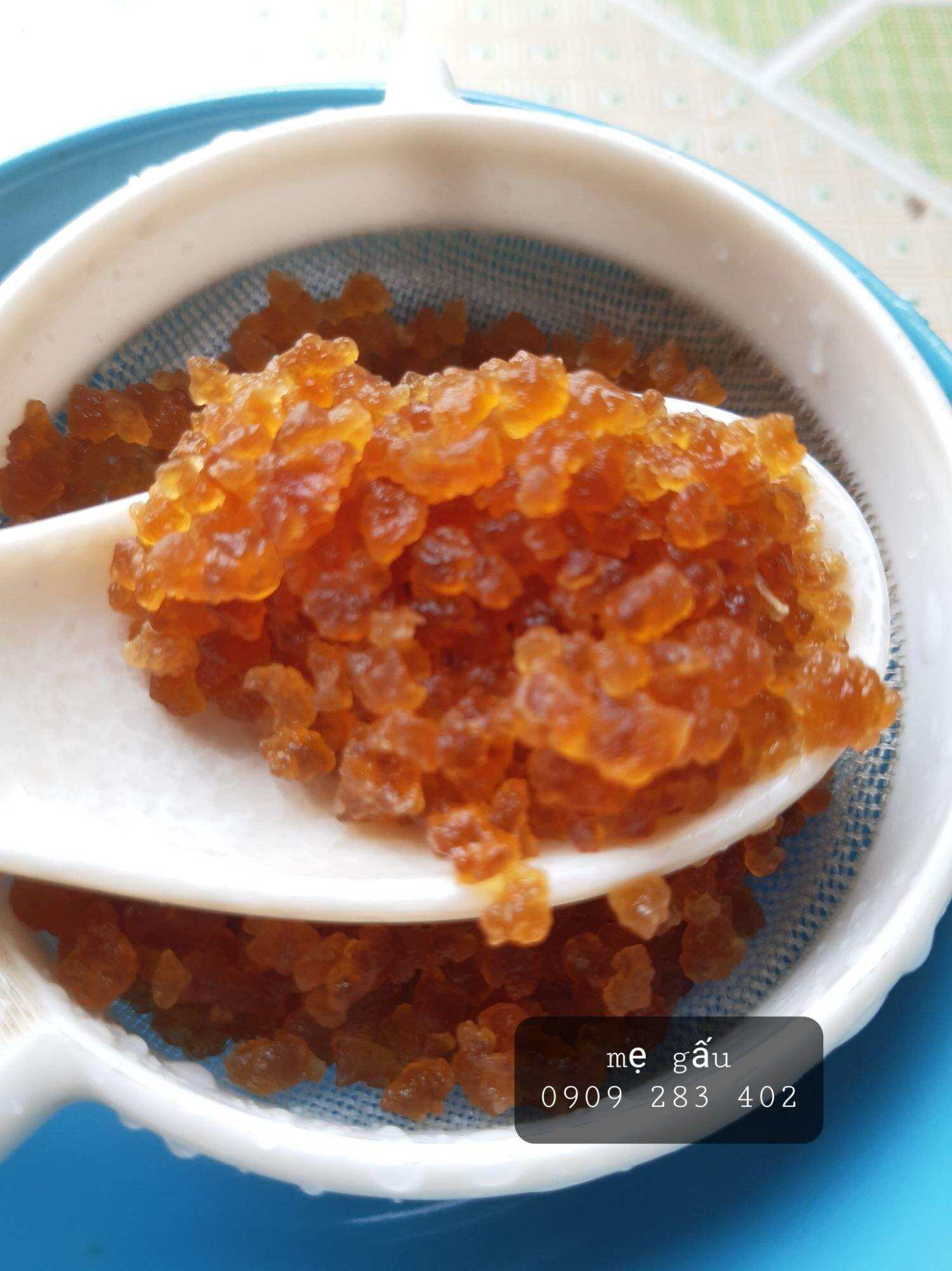 nấm nước kefir (water kefir) , con nấm nước kefir, men nấm nước kefir bơi lội kỳ thú