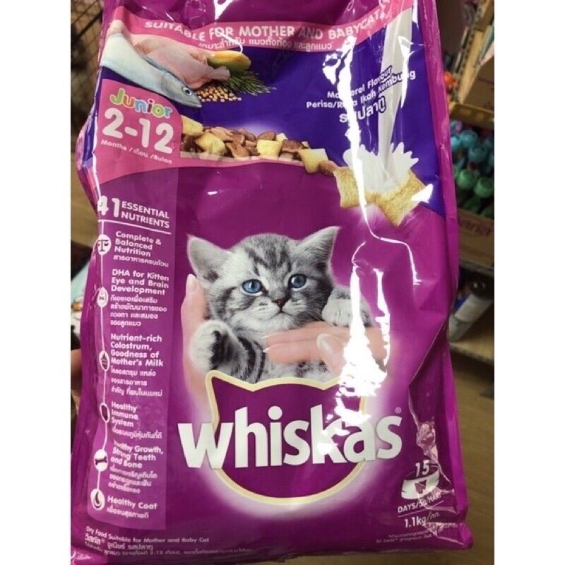 Thức ăn hạt wishkas dành cho mèo con vị cá thu