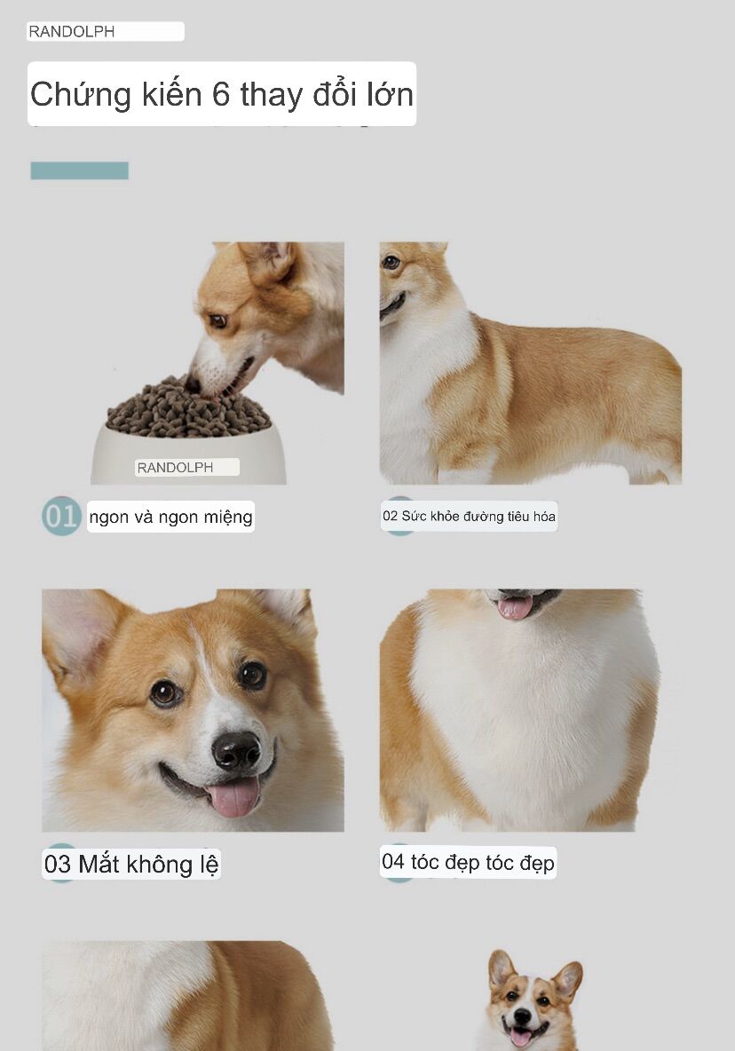 Thức ăn chó chó CORGI KERES TÚI 2kg