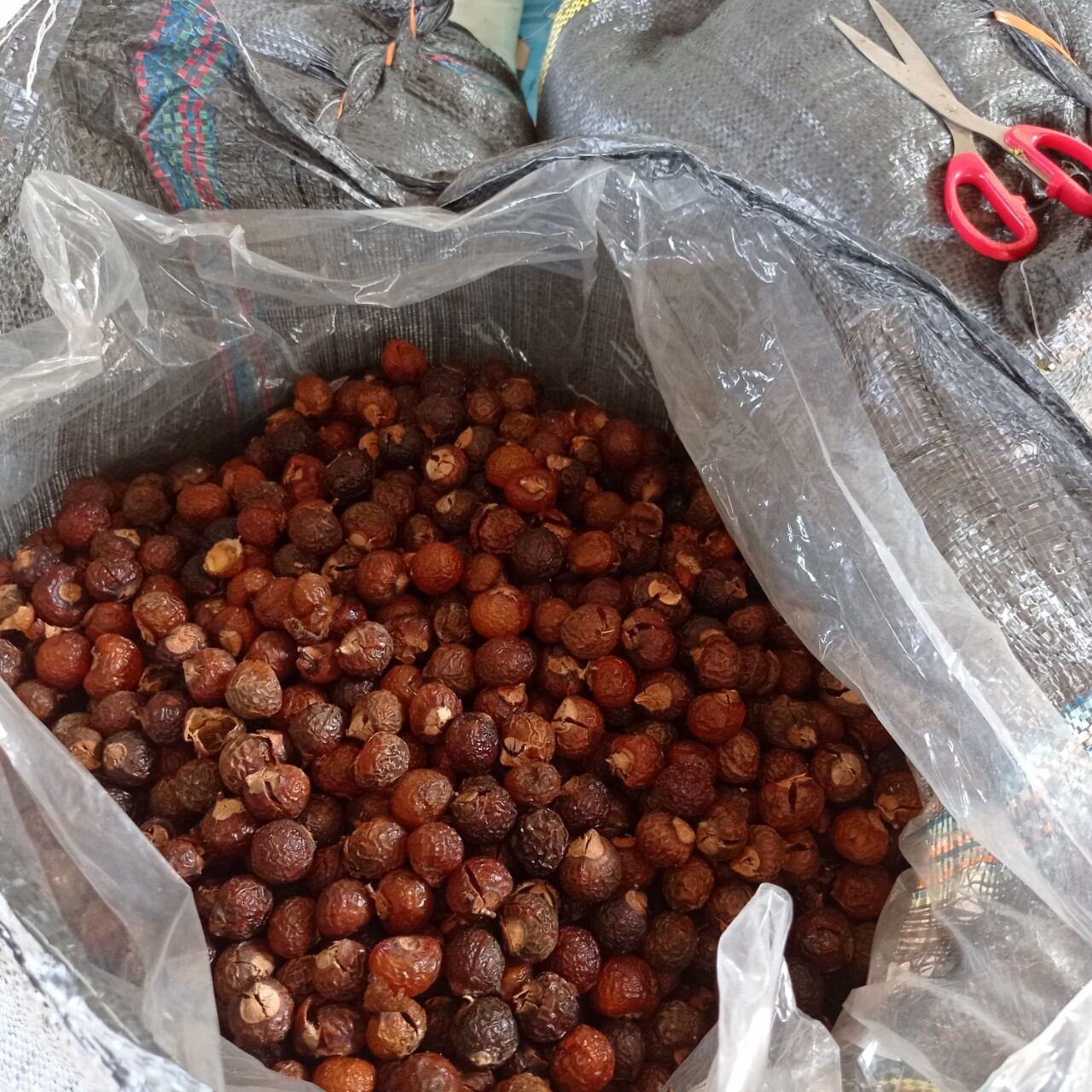 combo 5kg bồ hòn tách hạt