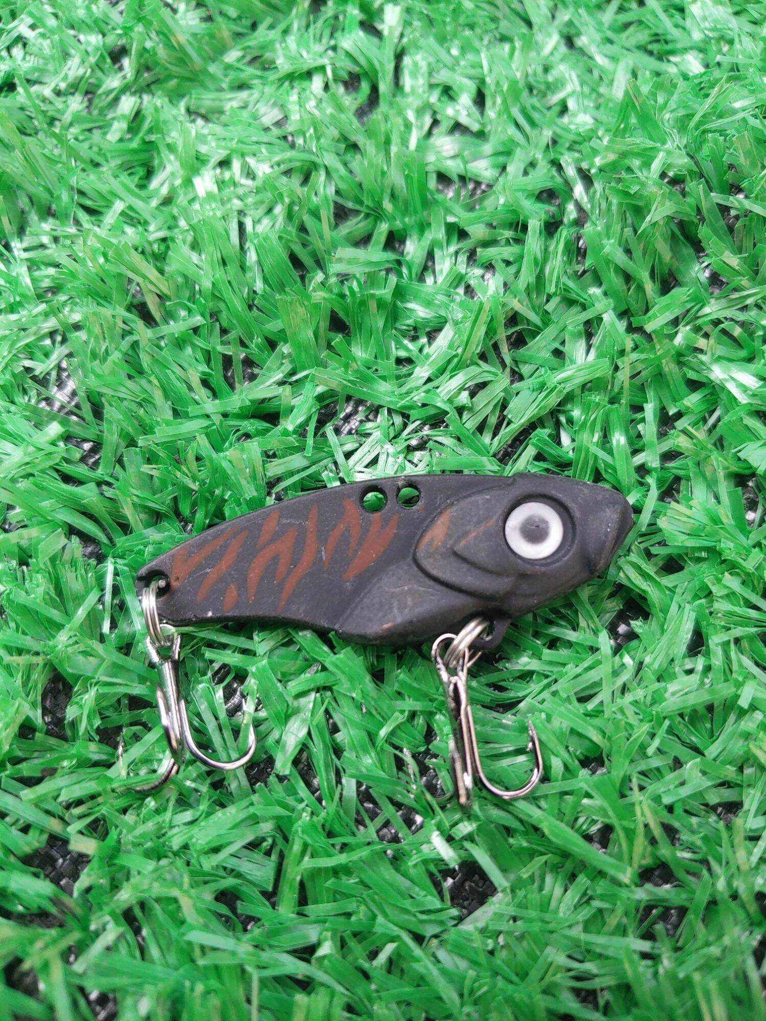 Cá sắt R45 (10gam)