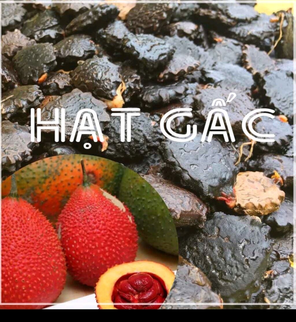 HẠT GẤC KHÔ 500G