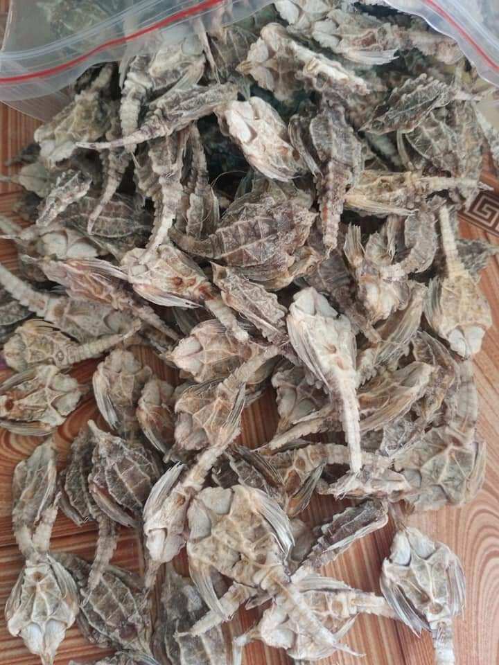 10 con hải yến khô