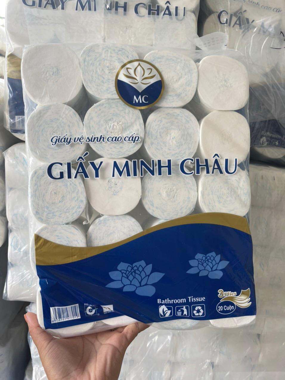 Giấy vệ sinh in hình cá heo xanh