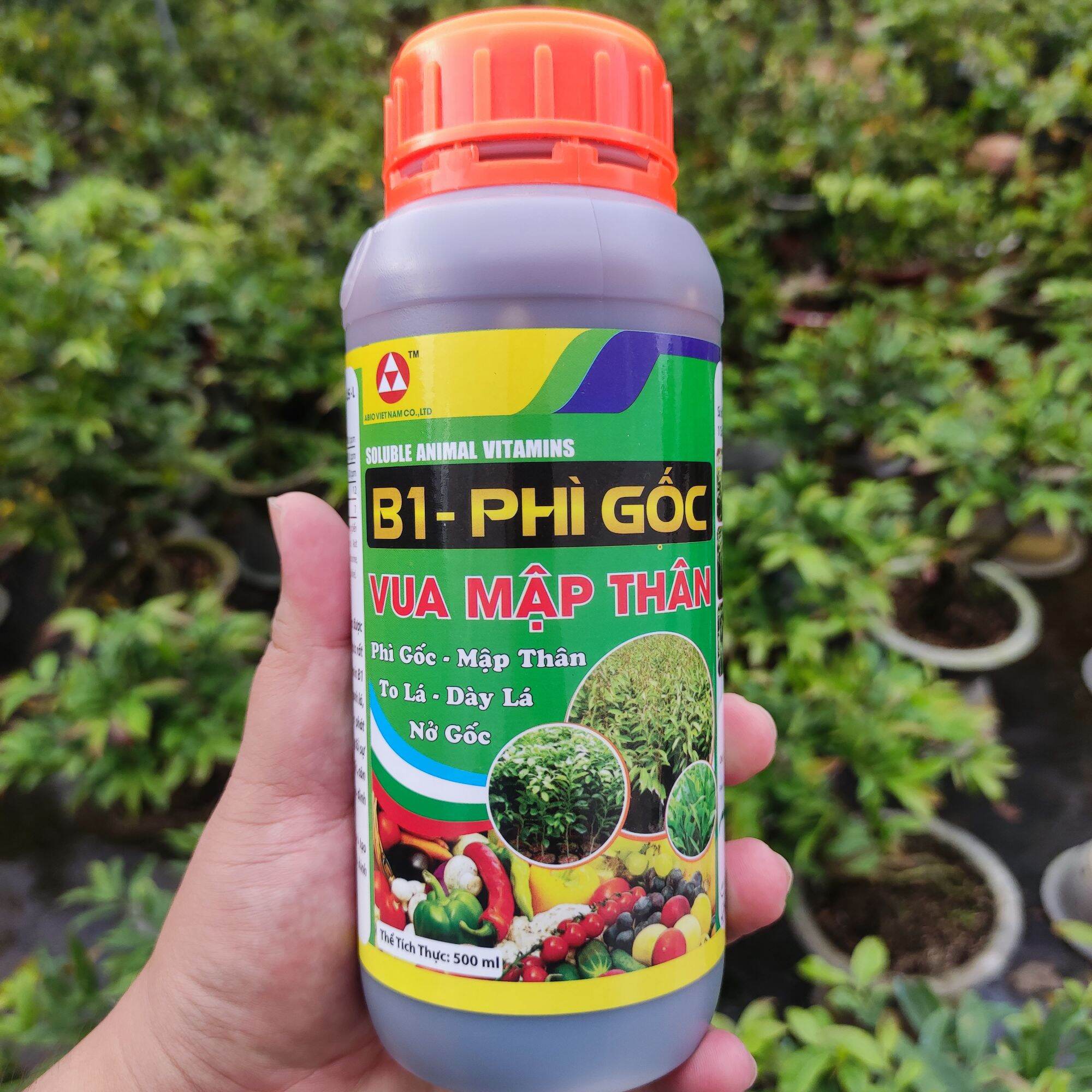 [phân bón siêu phì gốc ] mập gốc phì cọng nhanh lớn cành