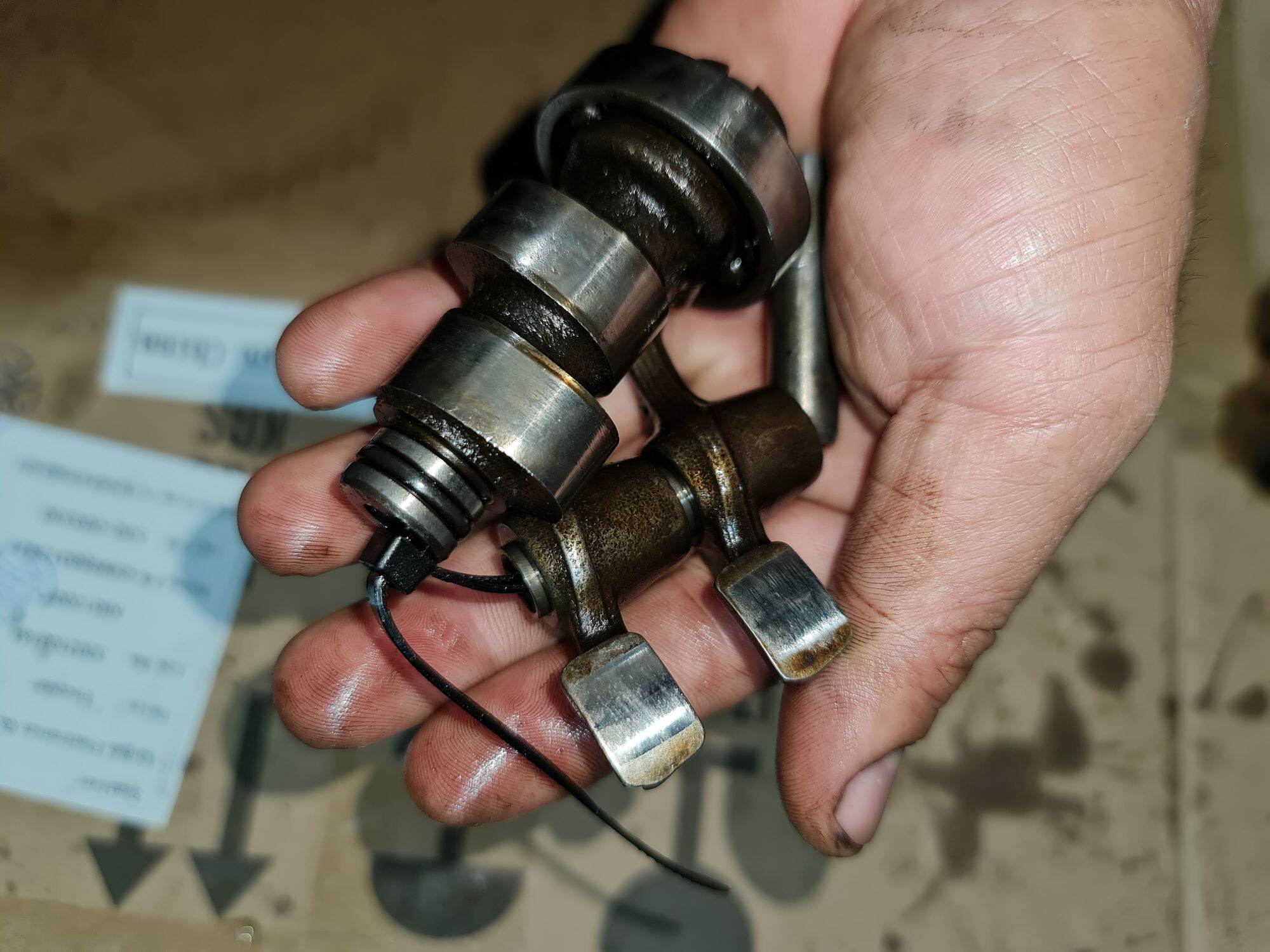 cam cò  yamaha  novo