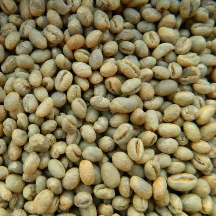 1kg nhân cà phê culi nhân sống
