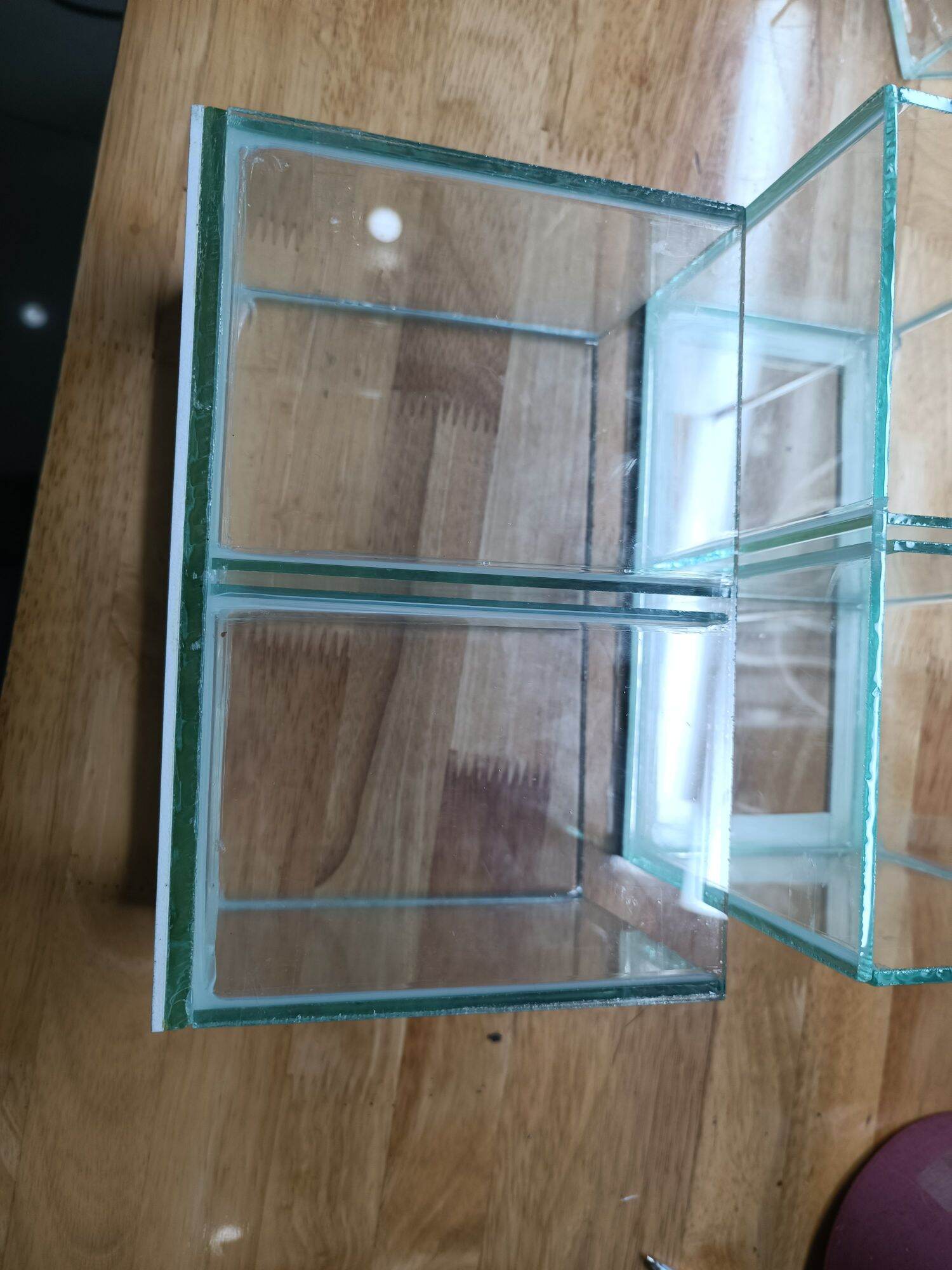 Combo 2 cái hồ 2 ngăn nuôi giá 150k
