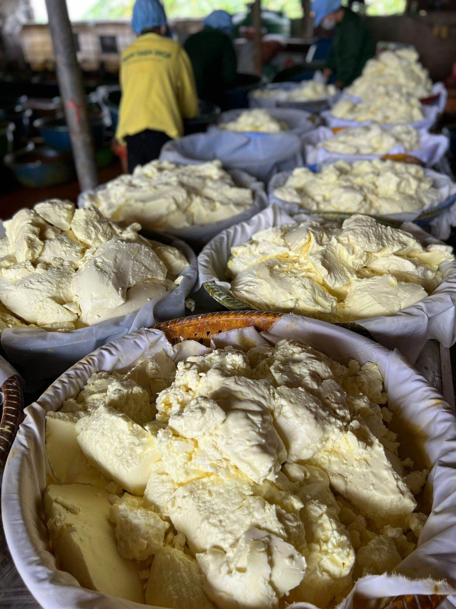 TINH BỘT NGHỆ ĐEN NGUYÊN CHẤT 0.5kg
