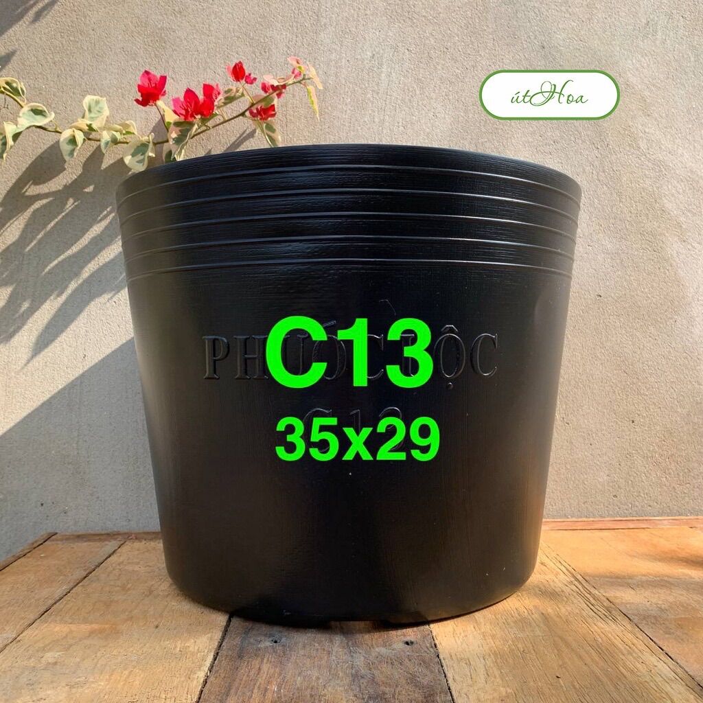 Chậu nhựa đen C13 trồng cây