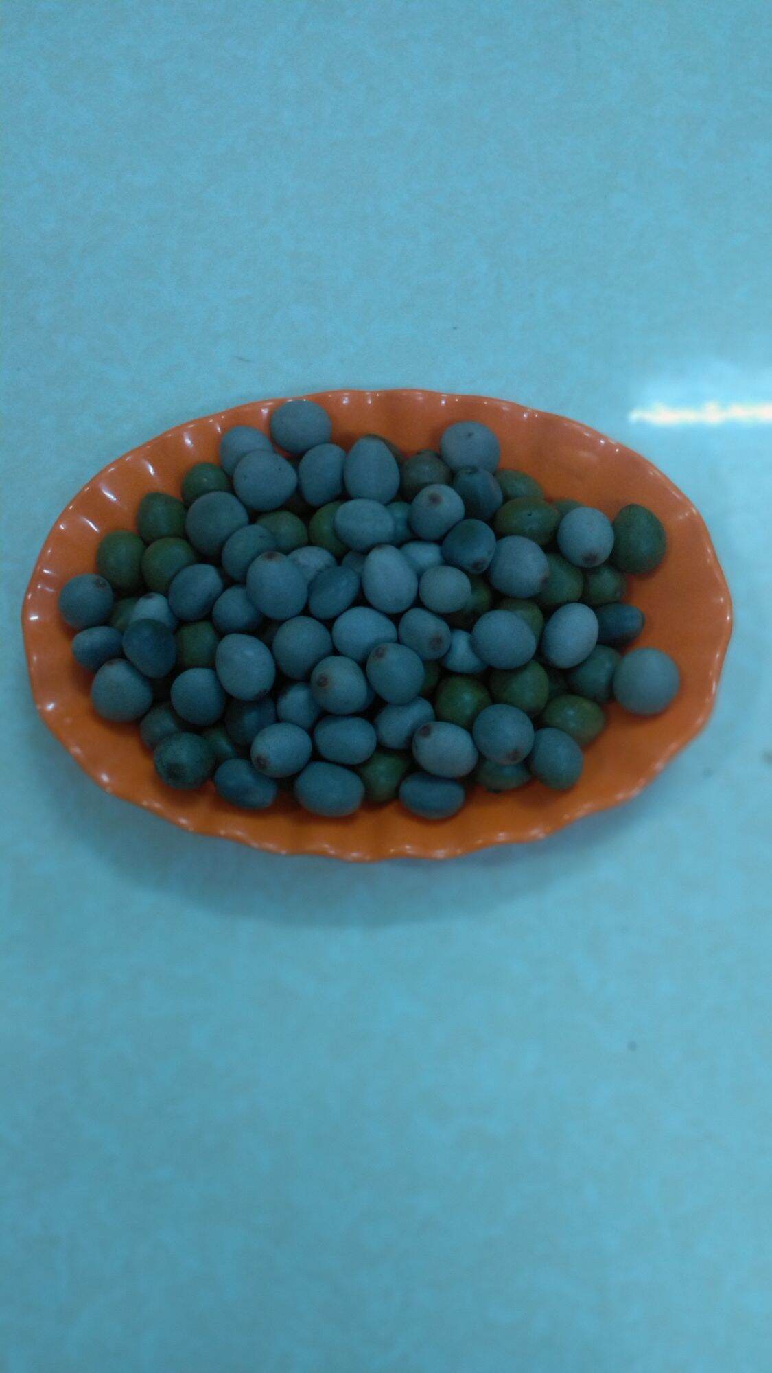 500g hạt mắc mèo chuẩn. lh 0975449688
