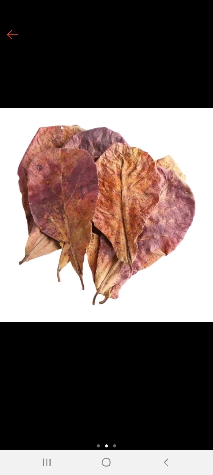 Lá bàng khô