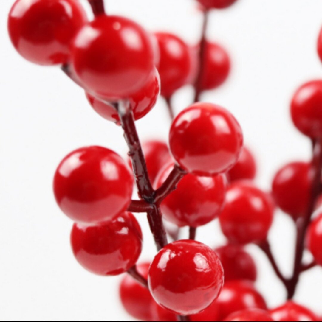Nhánh Cherry đỏ, Nhánh Đào Đông Trang Trí