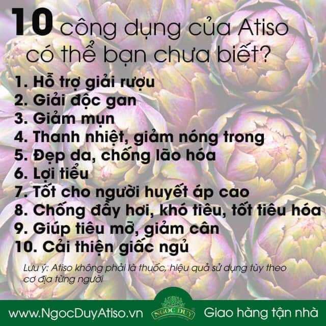 Gói 200gr(100 túi lọc) trà atiso nguyên chất Đà Lạt
