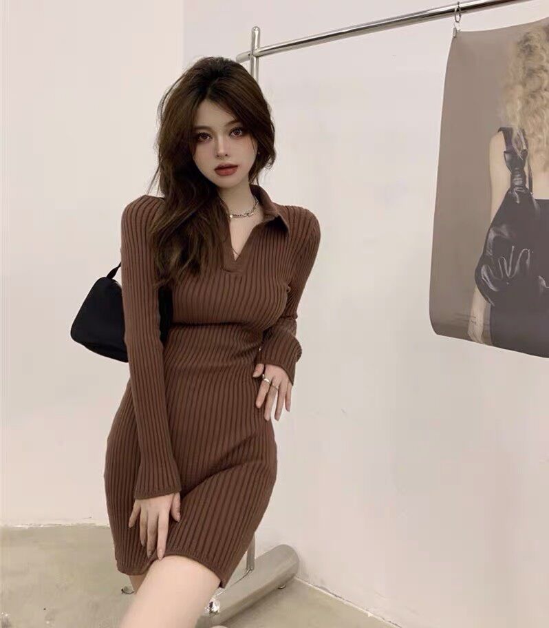 Đầm ôm body cổ trụ tay dài BDT1