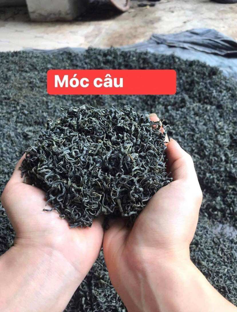 500g-trà thái nguyên chè móc câu tân cương