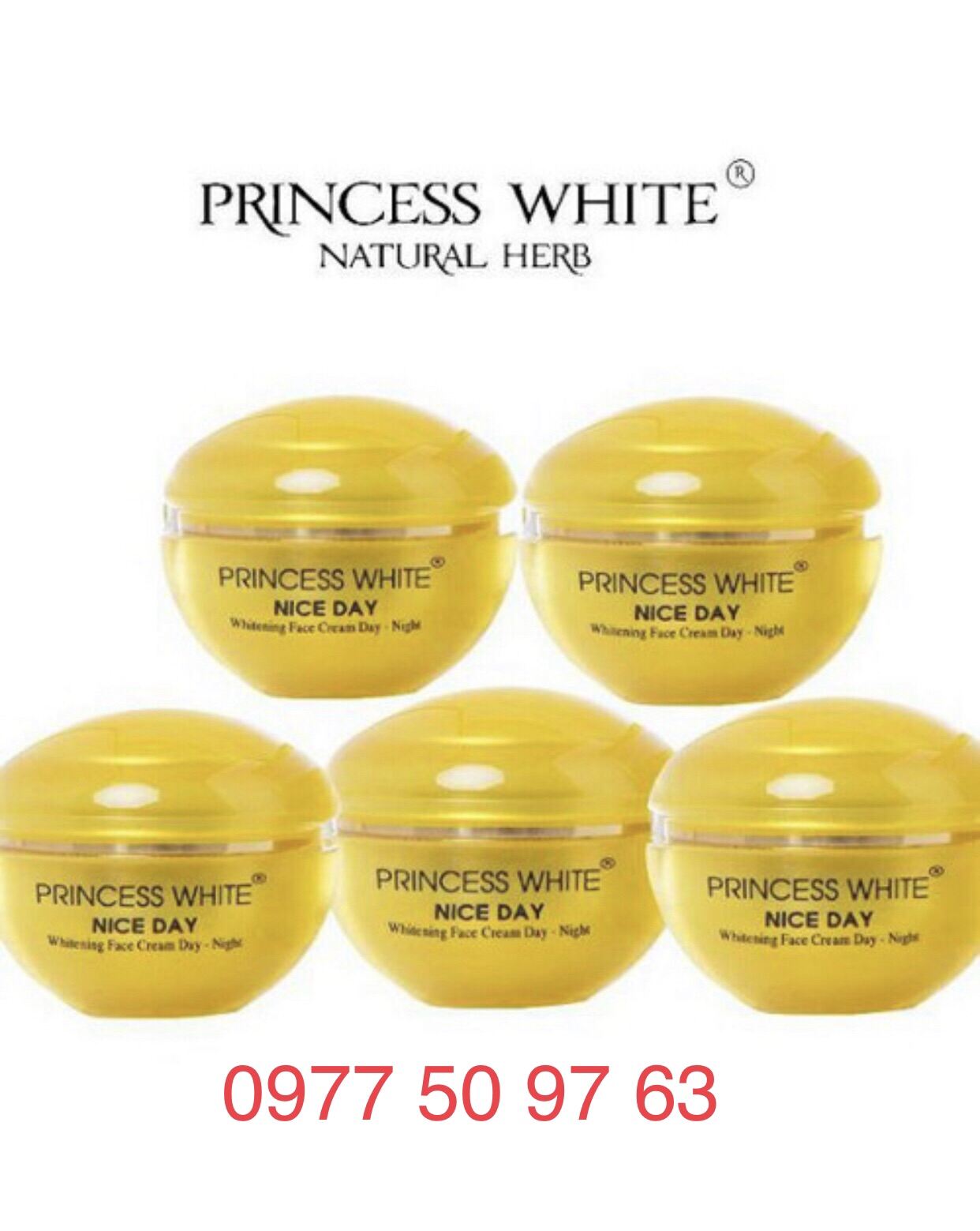 [Hcm]5 Hộp - Kem Nice Day Princess White Dưỡng Trắng Da - Giữ Ẩm - Se Khít Chân Lông 22Gr