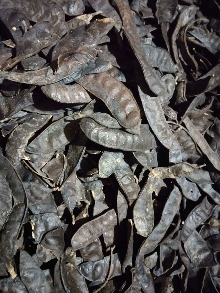 100gr Quả  Bồ Kết Khô