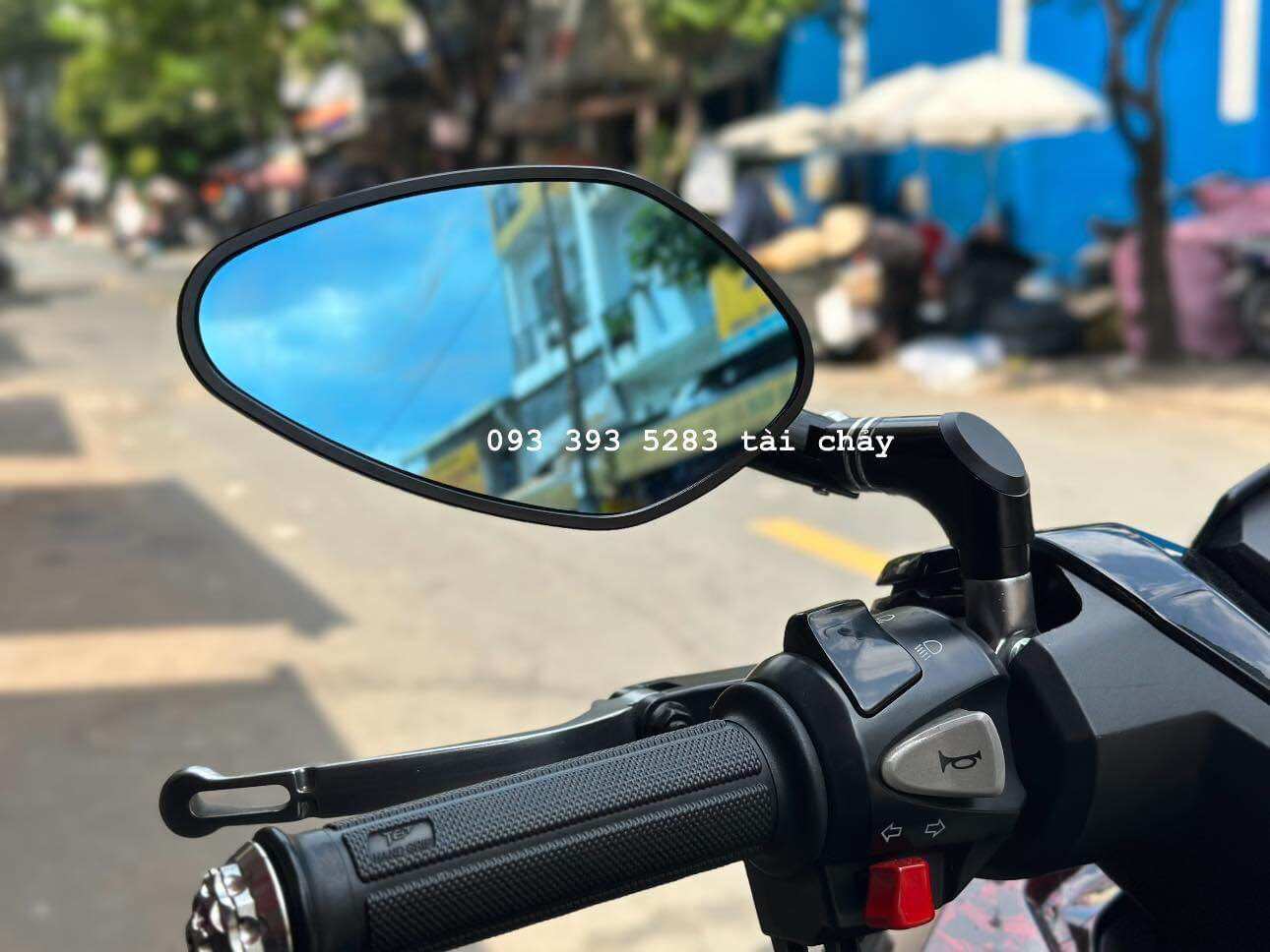 [ 1 CÂY BÊN TRÁI ] KIẾNG CON SÒ CHÂN NGẮN FULL ĐEN
