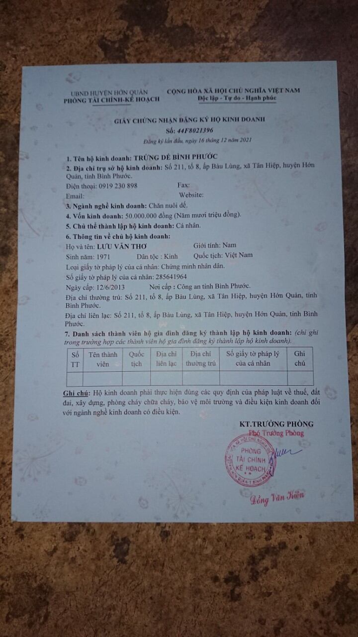 Trứng Dế Thái Vàng