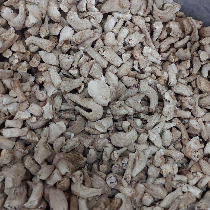 1kg chân nấm làm ruốc.