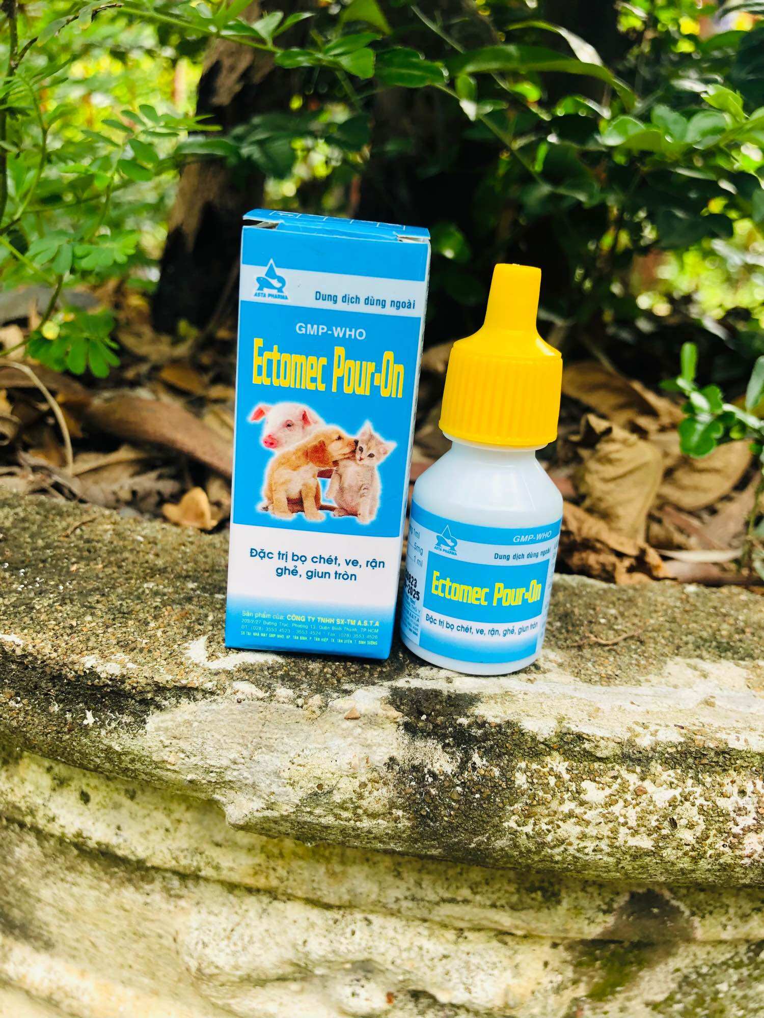 Nhỏ ve cho chó mèo Ectomec 10ml