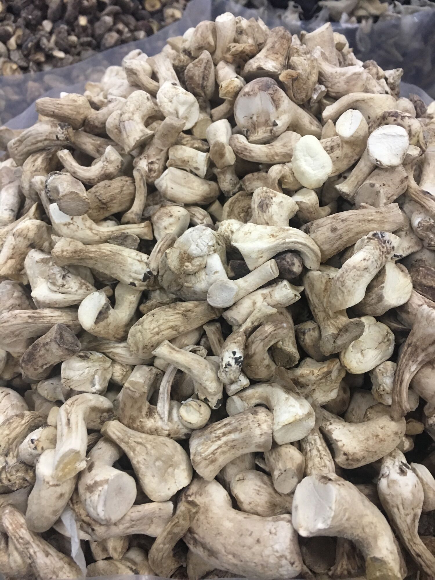 Chân nấm hương dài đẹp 1kg