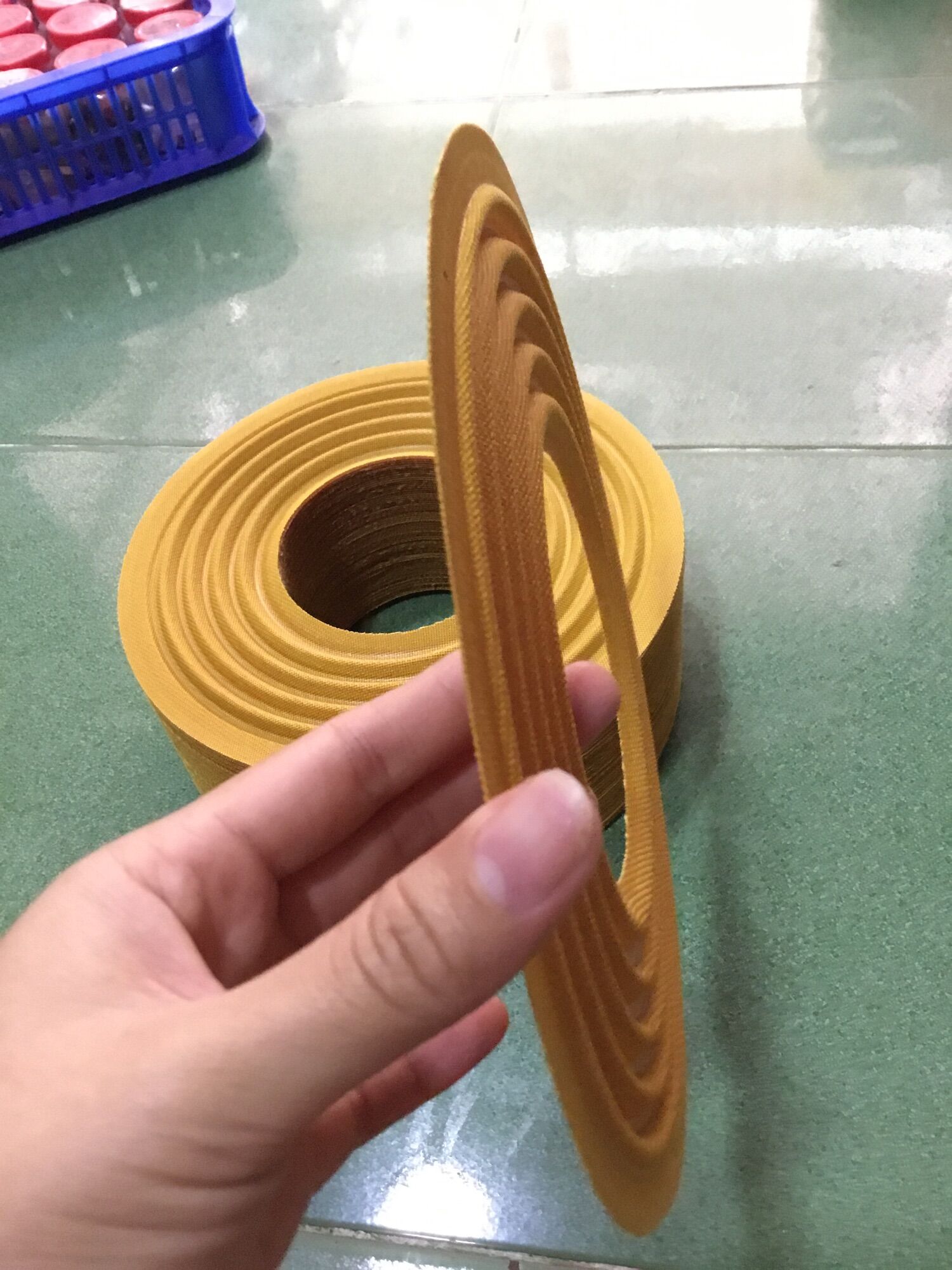 1- NHỆN LOA VÀNG 23CM LỖ COIL 100 BẰNG