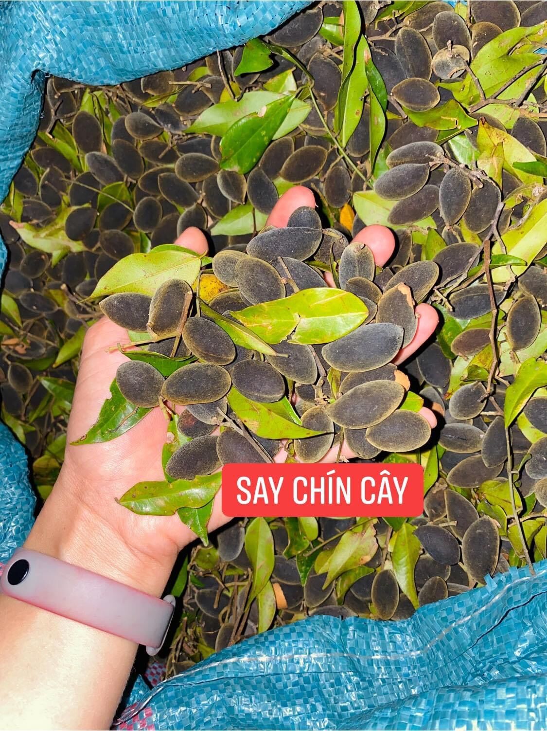 Quả say lắc muối ớt