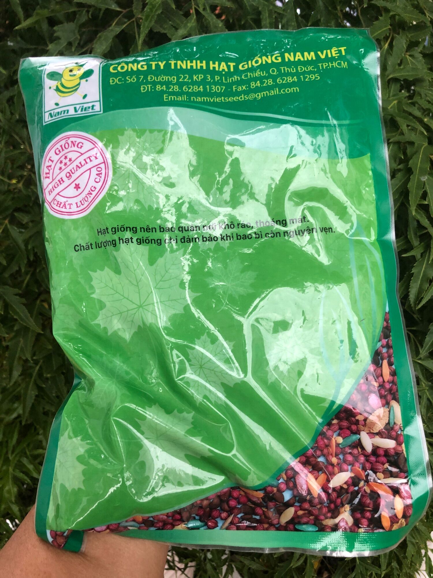 Hạt giống đậu bắp thái lan 5 cạnh gói 500gr