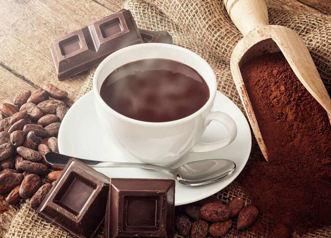 BỘT CACAO NGUYÊN CHẤT - DAKLAK - Hộp 500gr