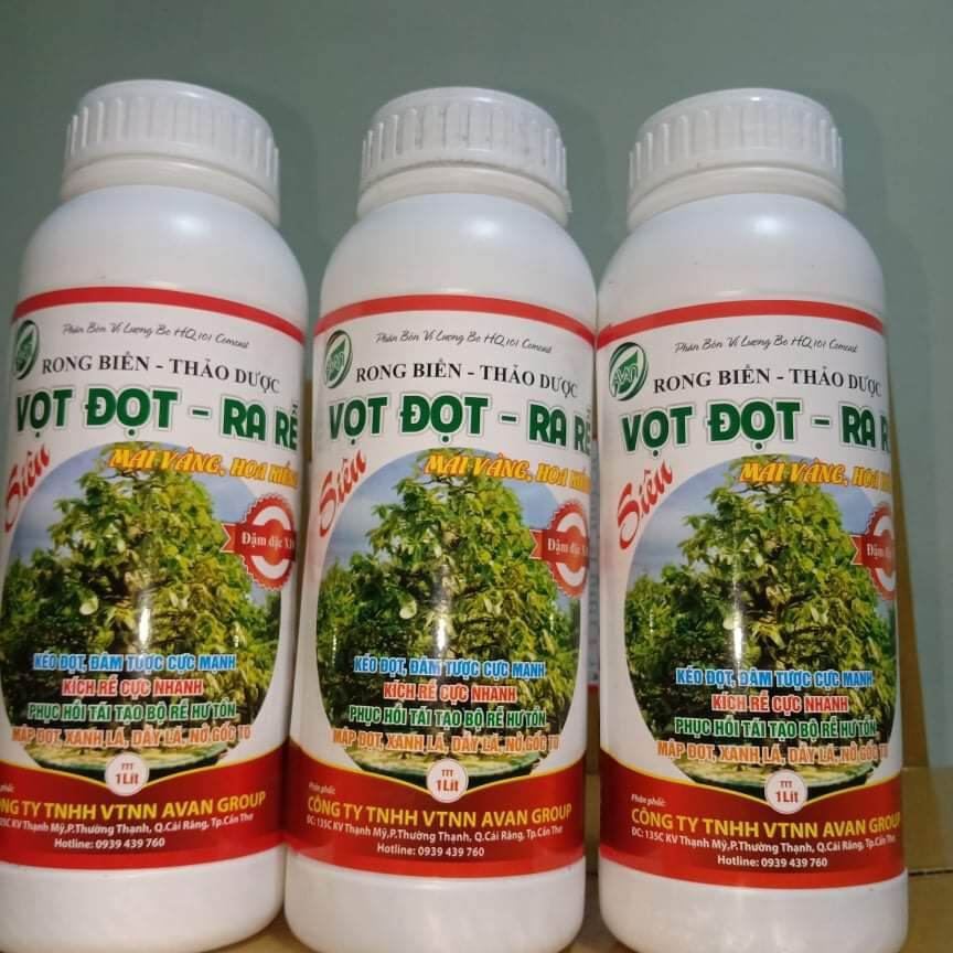 Phân bón dưỡng cây kiểng , mai vàng. bung đọt ra rễ